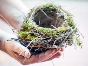 empty nest syndrome