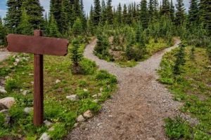 decision paralysis