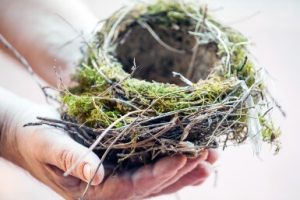empty nest syndrome